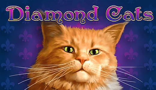 Diamond Cats